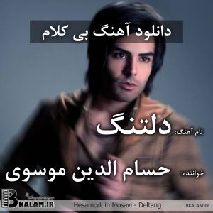 آهنگ بی کلام دلتنگ از حسام الدین موسوی