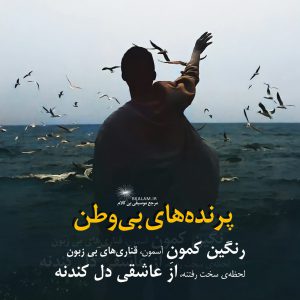 آهنگ بی کلام پرنده های بی وطن از منصور