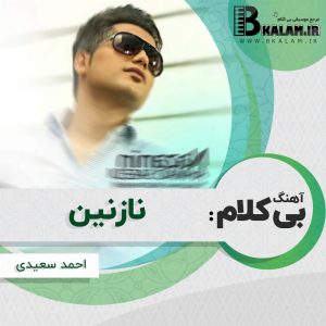 آهنگ بی کلام نازنین از احمد سعیدی
